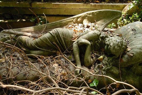 H1.jpg (113.15 KiB) Viewed 10770 times H1.jpg