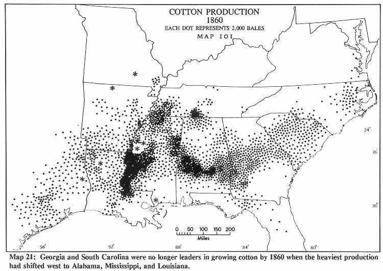 CottonProduction.jpg