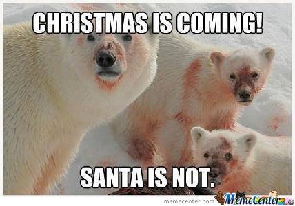 polarbearnosanta.jpg